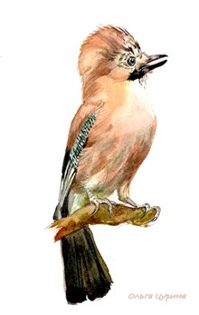 24.3 Последний лист